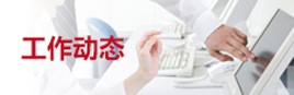 维多利亚官方入口